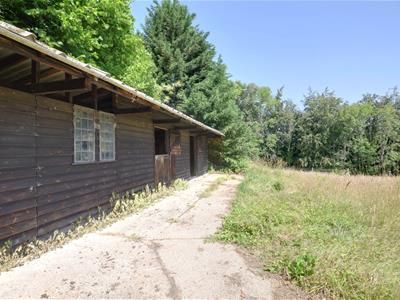 Picture 30